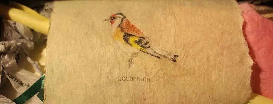 Zoe UiFhaolain Green 02.jpg