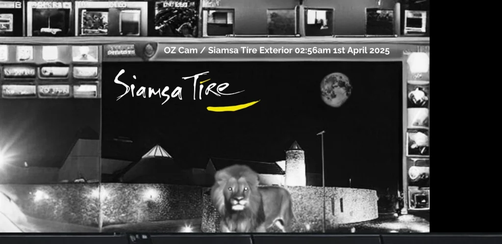 Lion Spotted at Siamsa Tire