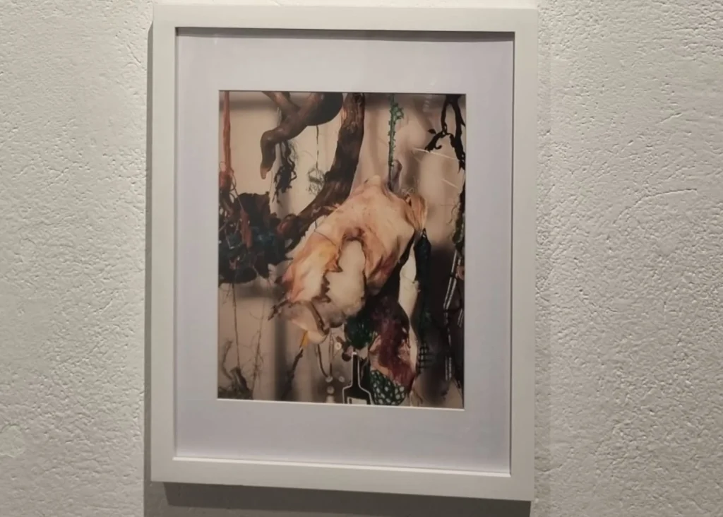 Fragmented Connections at Siamsa Tire Theatre 2