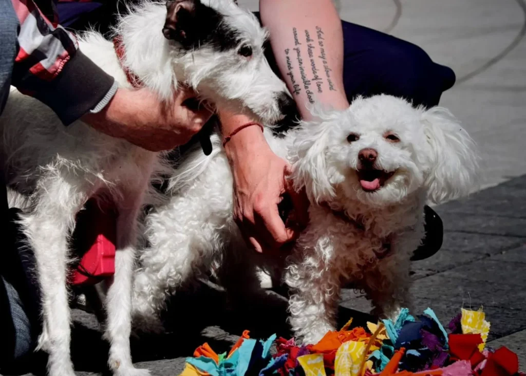 Pride 2025 at Siamsa Tire  16