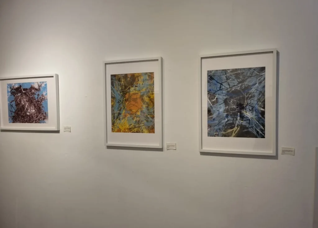 Helen Richmond 2025 at Siamsa Tire 3 1