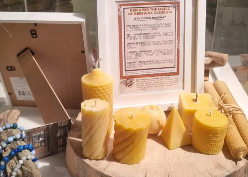 Changemakers Voice 2025 at Siamsa Tire 6